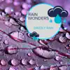Rain Recordings & Everyday Rain Stories - Rain Wonders - Drizzly Rain